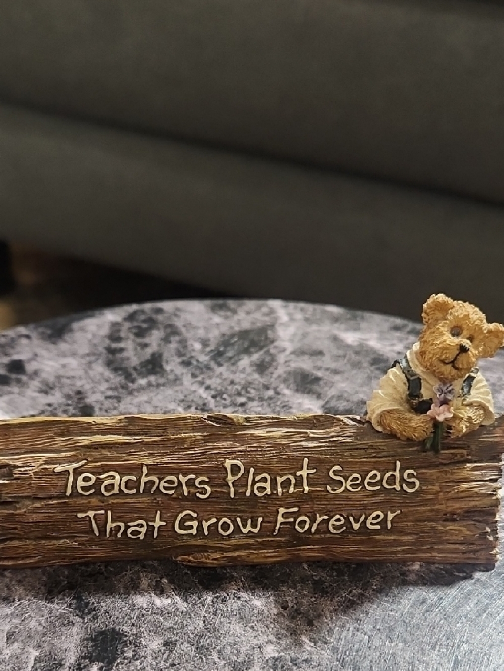 Special Teacher Plaque - Brown "Teachers Plant Seeds That Grow Forever" - Picture 6 of 6